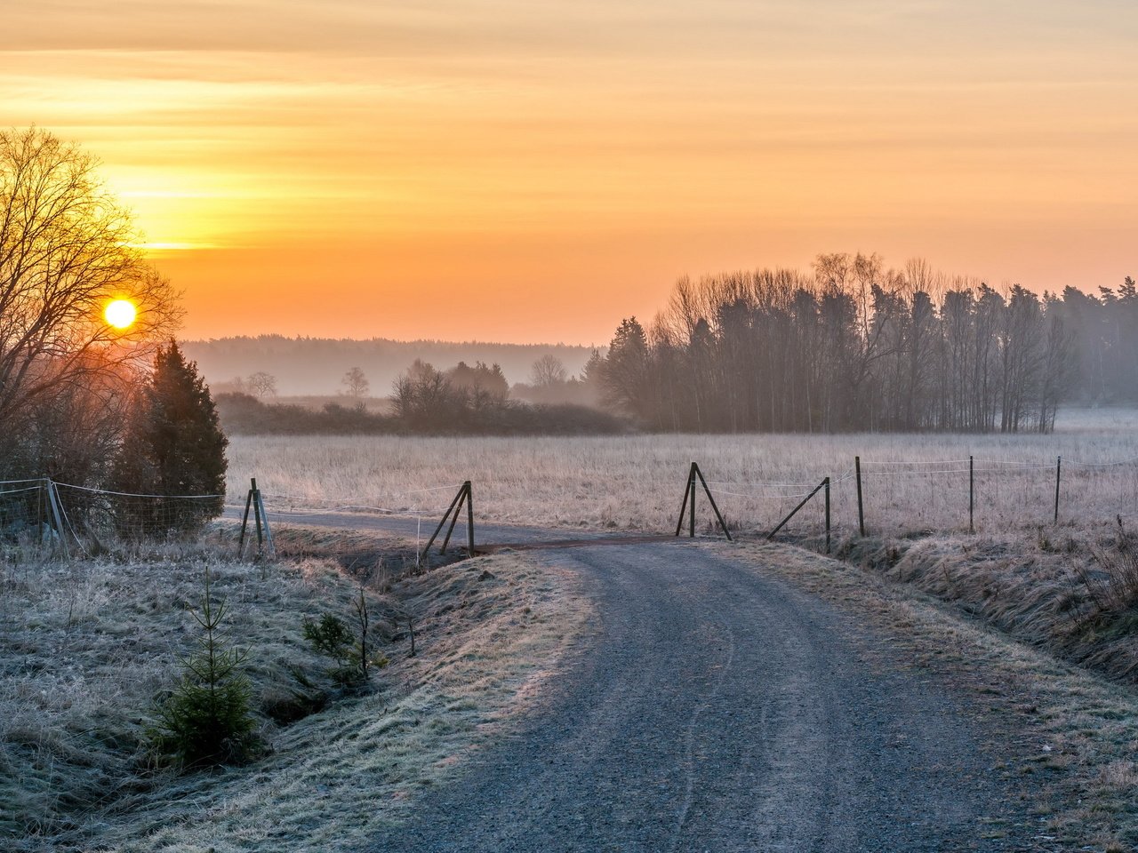 Обои дорога, снег, закат, зима, пейзаж, road, snow, sunset, winter, landscape разрешение 2560x1600 Загрузить