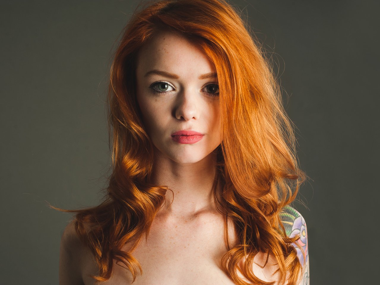 Обои девушка, взгляд, рыжая, модель, тату, губы, julie kennedy, lass, suicide girls, red head, girl, look, red, model, tattoo, lips разрешение 1920x1080 Загрузить