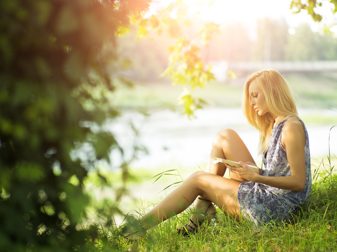 Обои трава, девушка, платье, блондинка, лето, профиль, книга, читает, grass, girl, dress, blonde, summer, profile, book, reads разрешение 4200x2800 Загрузить