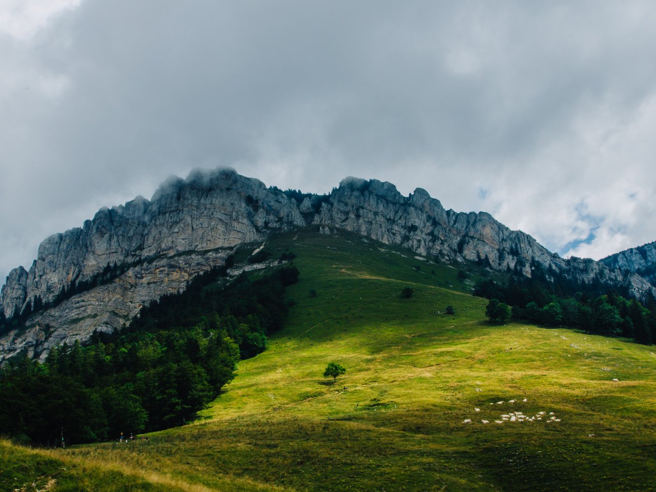 Обои деревья, горы, холмы, природа, trees, mountains, hills, nature разрешение 2048x1362 Загрузить