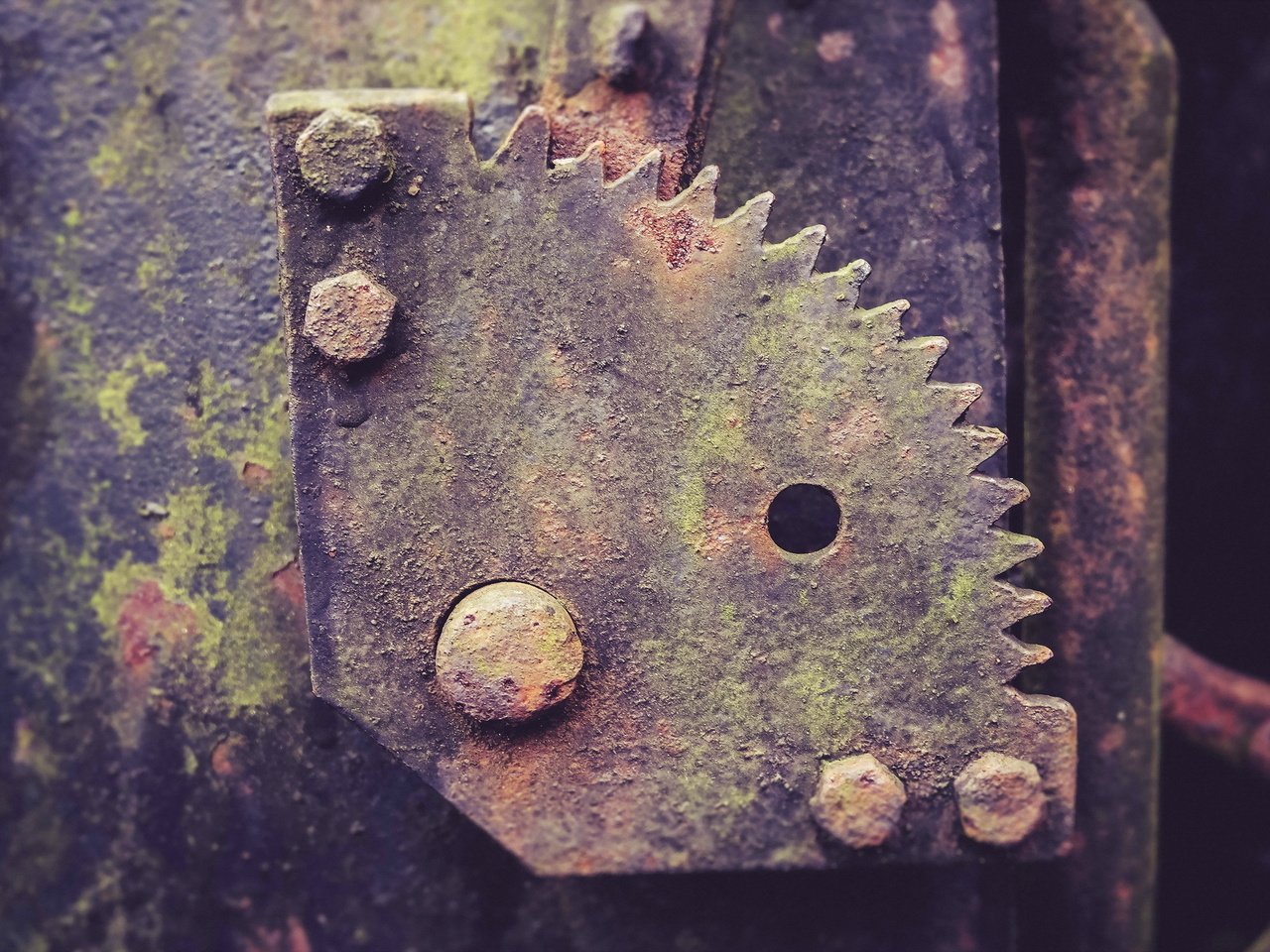 Обои металл, макро, механизм, ржавчина, шестеренка, death metal, metal, macro, mechanism, rust, gear разрешение 2010x1280 Загрузить