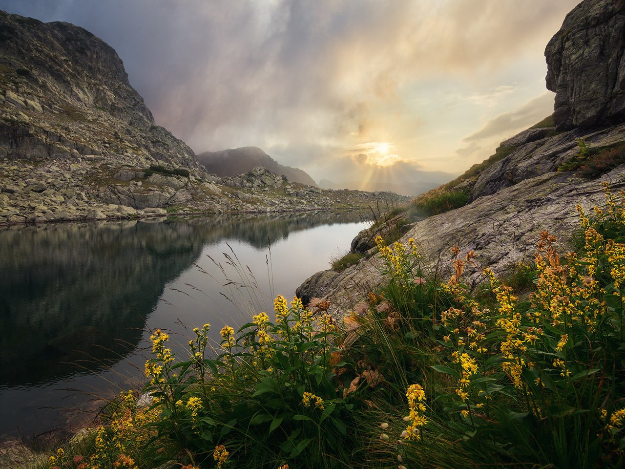 Обои цветы, озеро, горы, скалы, камни, flowers, lake, mountains, rocks, stones разрешение 2000x1333 Загрузить