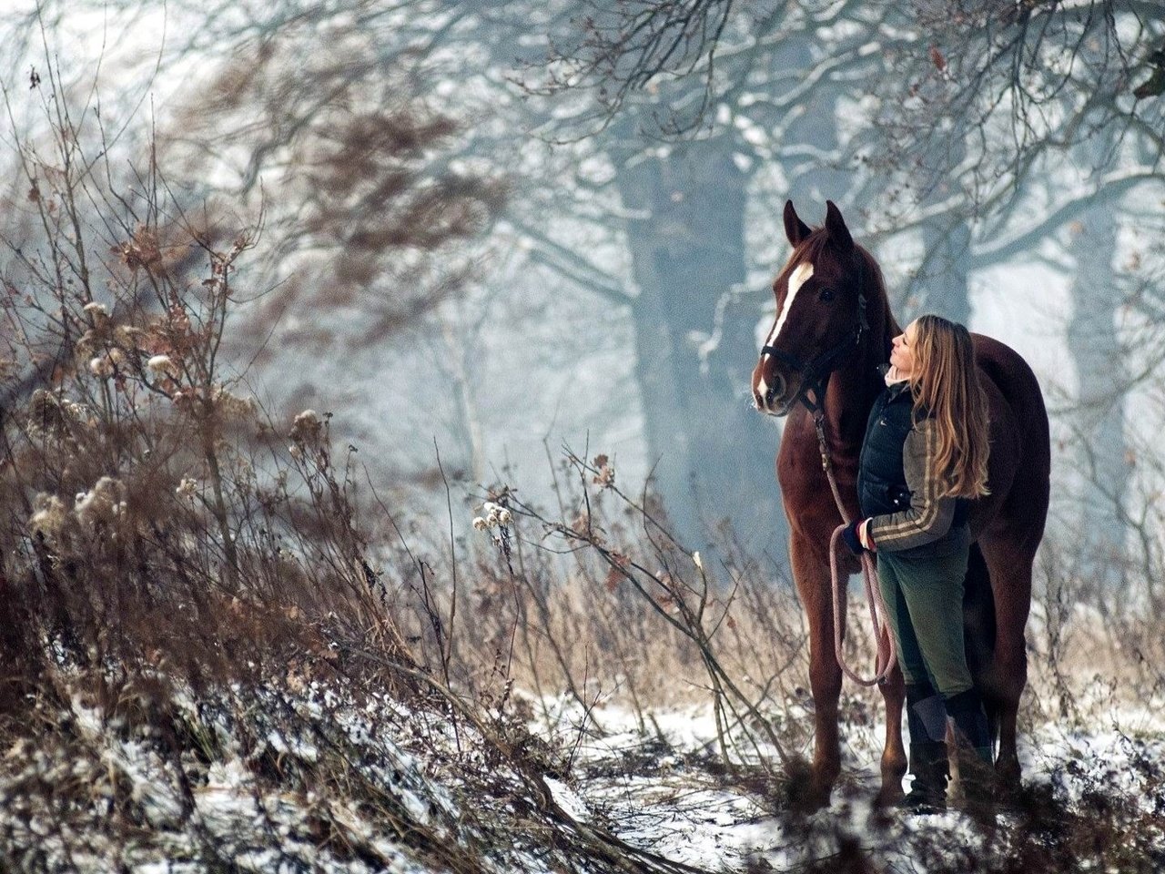 Обои лошадь, деревья, снег, лес, девушка, конь, наездница, horse, trees, snow, forest, girl, rider разрешение 1920x1080 Загрузить