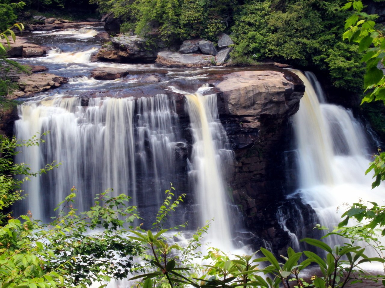 Обои камни, the park is blackwater fall, зелень, листья, ручей, ветки, водопад, сша, blackwater falls state park, парк блэкуотер-фолс, the park is blackwater falls, stones, greens, leaves, stream, branches, waterfall, usa разрешение 2160x1440 Загрузить