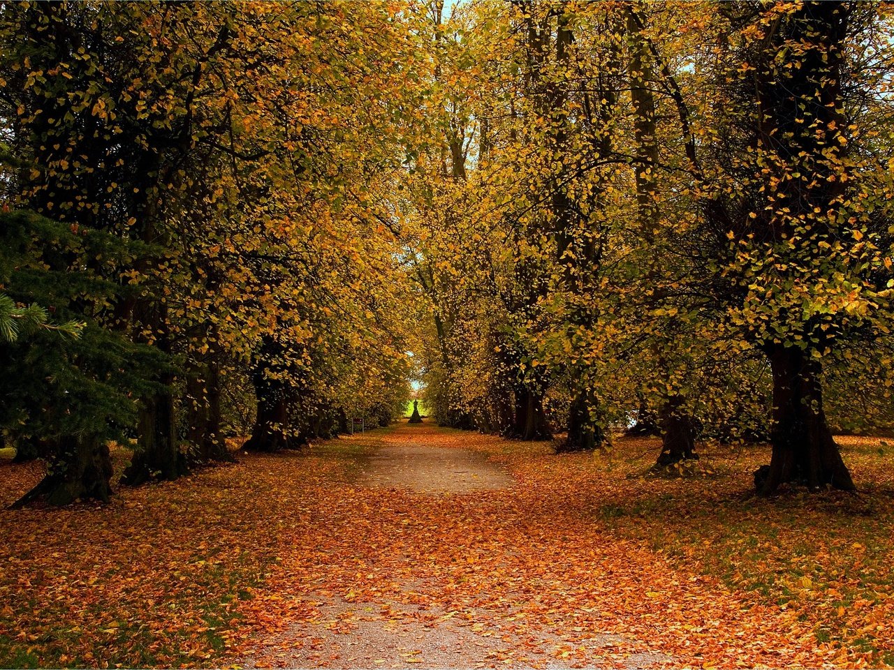 Обои дорога, деревья, пейзаж, парк, осень, road, trees, landscape, park, autumn разрешение 2880x1912 Загрузить