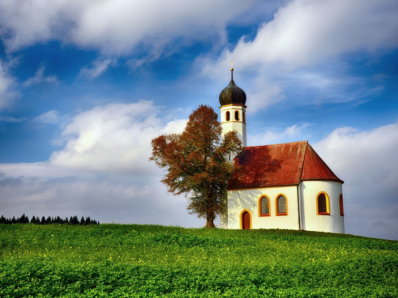 Обои дерево, пейзаж, церковь, холм, баварии, tree, landscape, church, hill, bavaria разрешение 7355x4907 Загрузить