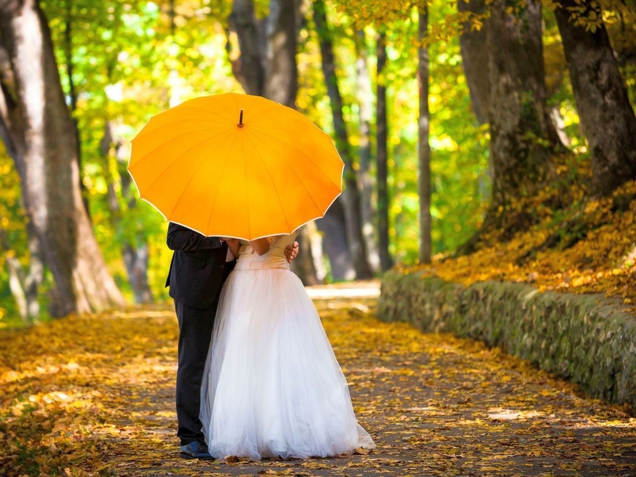 Обои зонтик, жених, невеста, композиция, umbrella, the groom, the bride, composition разрешение 2560x1600 Загрузить