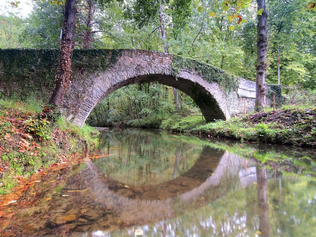 Обои деревья, река, пейзаж, мост, trees, river, landscape, bridge разрешение 2880x1913 Загрузить