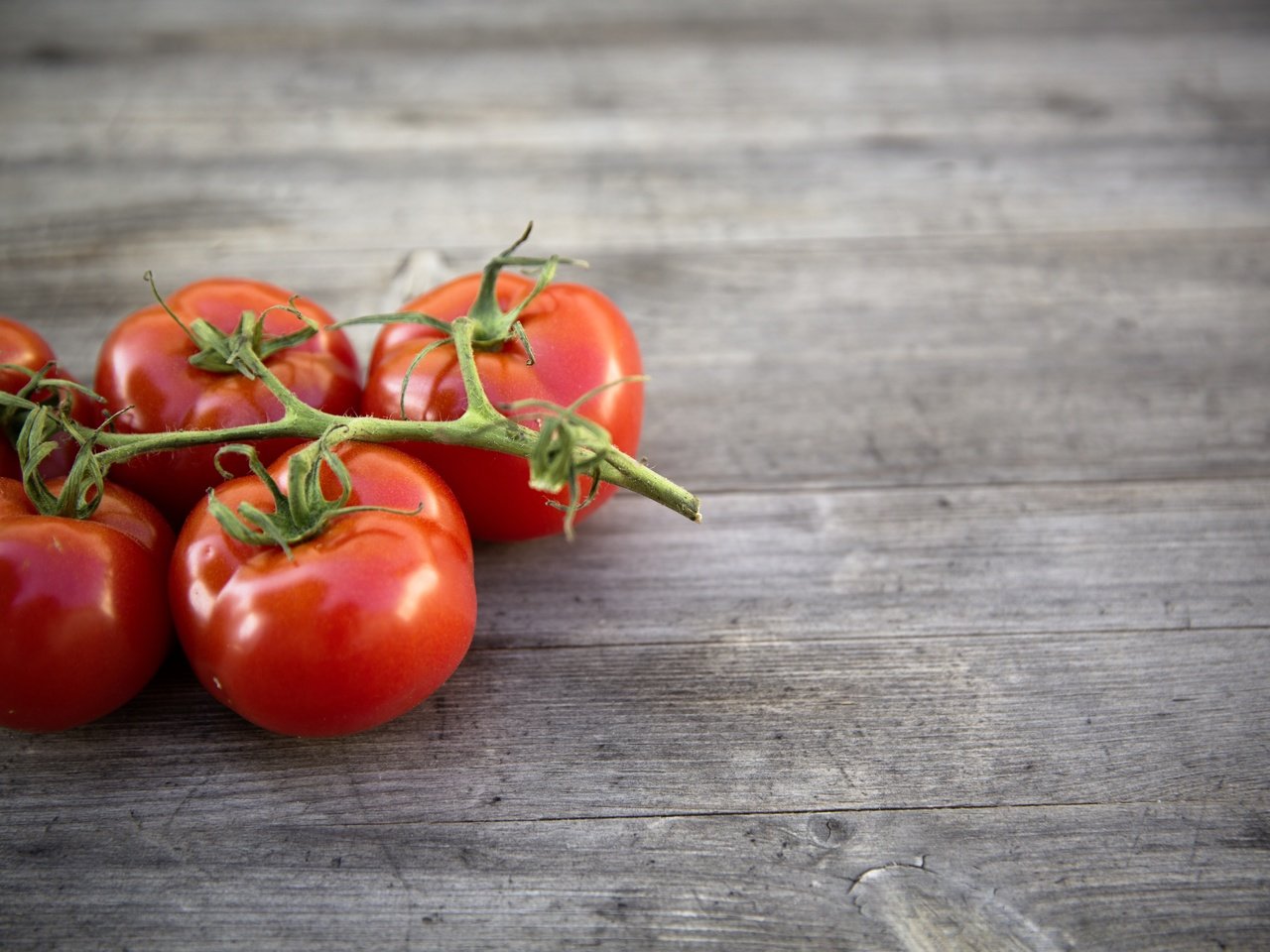 Обои фон, овощи, помидоры, томаты, background, vegetables, tomatoes разрешение 4320x2880 Загрузить