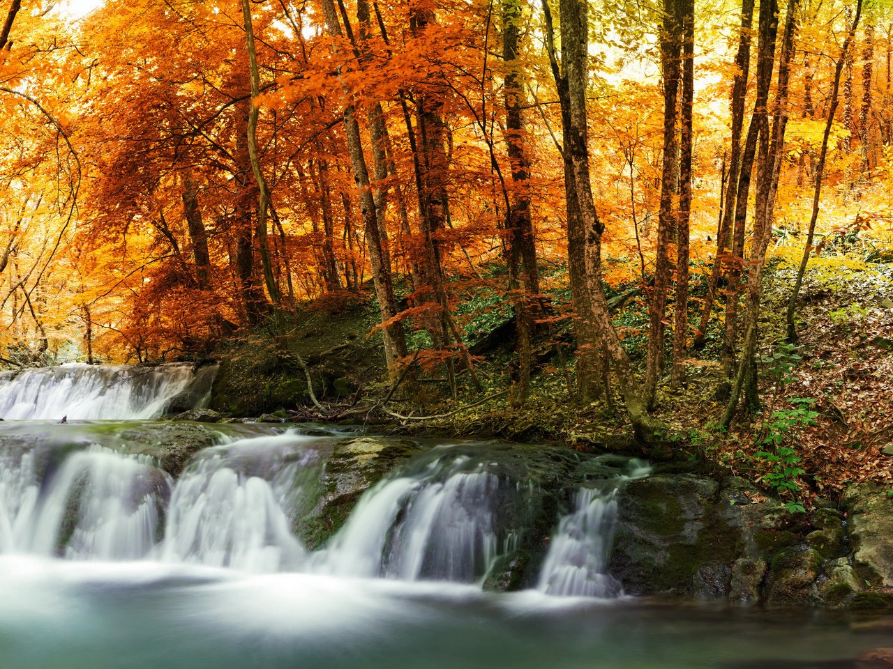 Обои деревья, лес, листья, ручей, водопад, осень, желтые, trees, forest, leaves, stream, waterfall, autumn, yellow разрешение 3400x2000 Загрузить