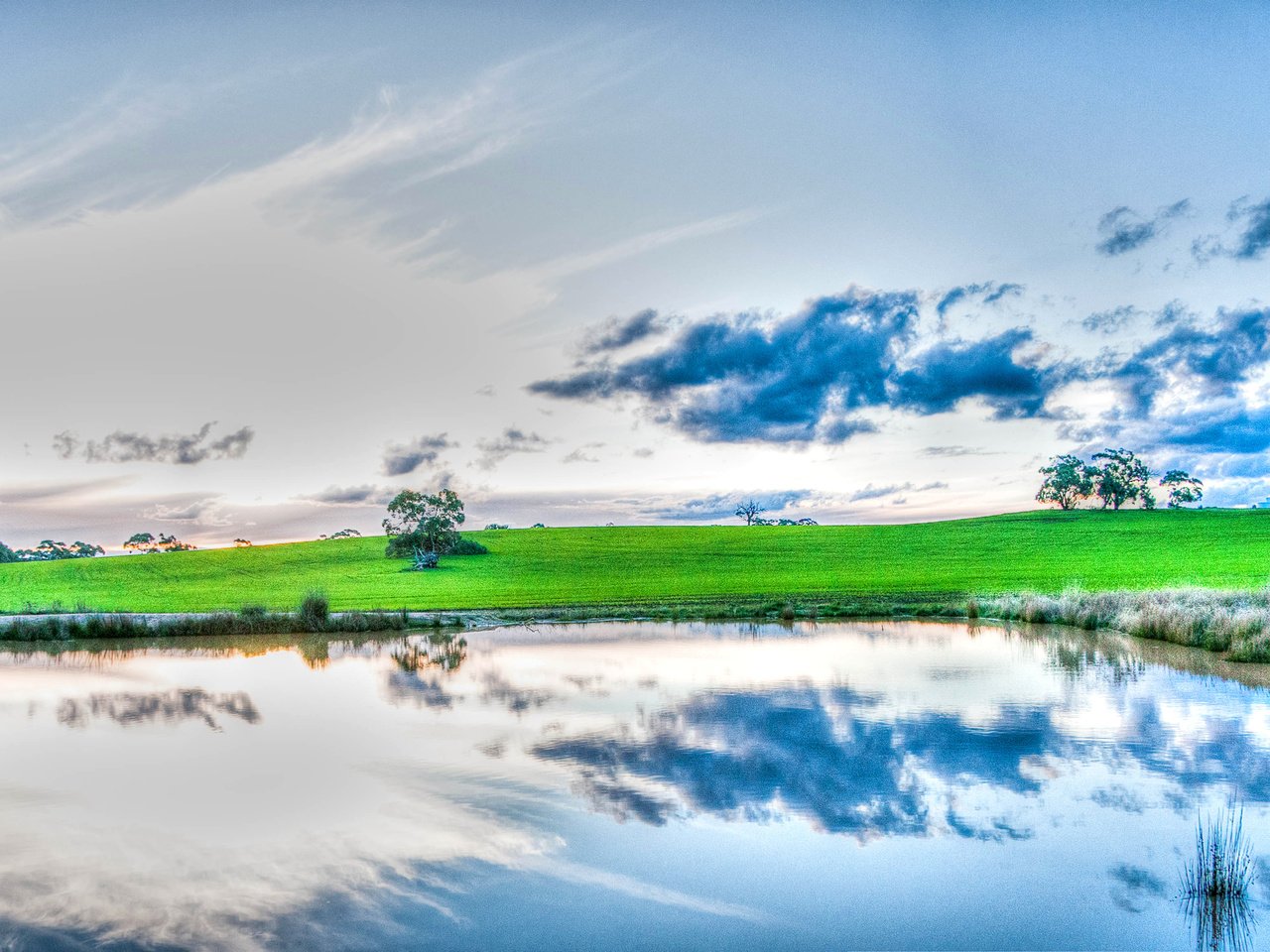 Обои небо, трава, облака, деревья, озеро, отражение, the sky, grass, clouds, trees, lake, reflection разрешение 2560x1440 Загрузить