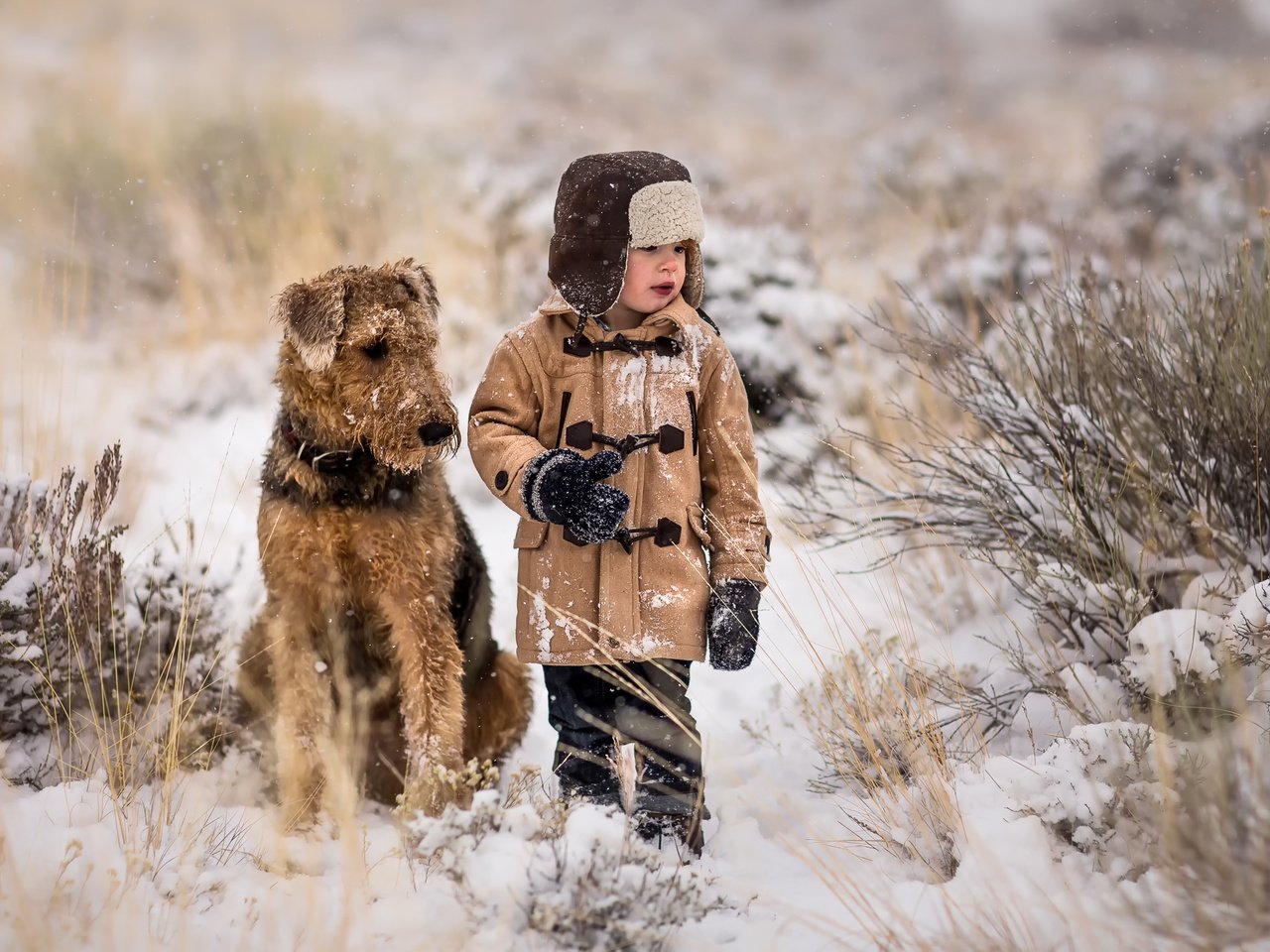 Обои снег, собака, мальчик, друзья, snow, dog, boy, friends разрешение 2048x1467 Загрузить