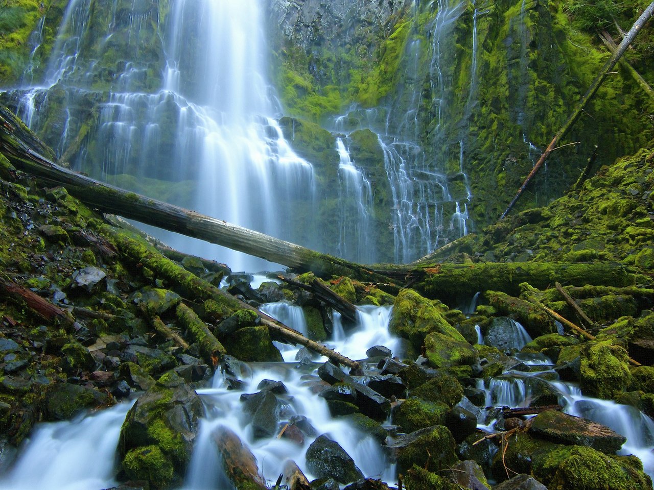 Обои камни, водопад, мох, бревна, орегон, каскад, stones, waterfall, moss, logs, oregon, cascade разрешение 2048x1365 Загрузить