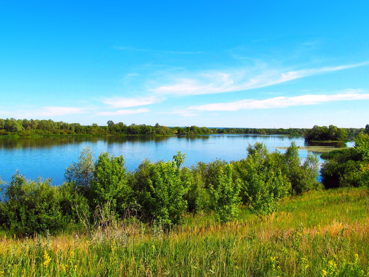 Обои озеро, лето, lake, summer разрешение 2560x1600 Загрузить