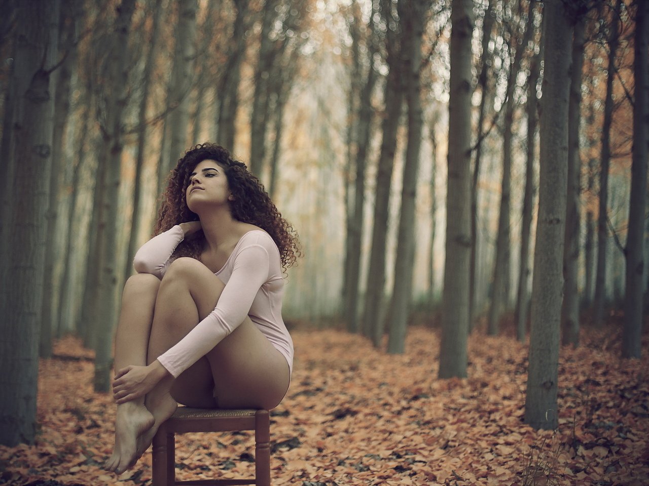 Обои лес, девушка, осень, стул, forest, girl, autumn, chair разрешение 2048x1367 Загрузить