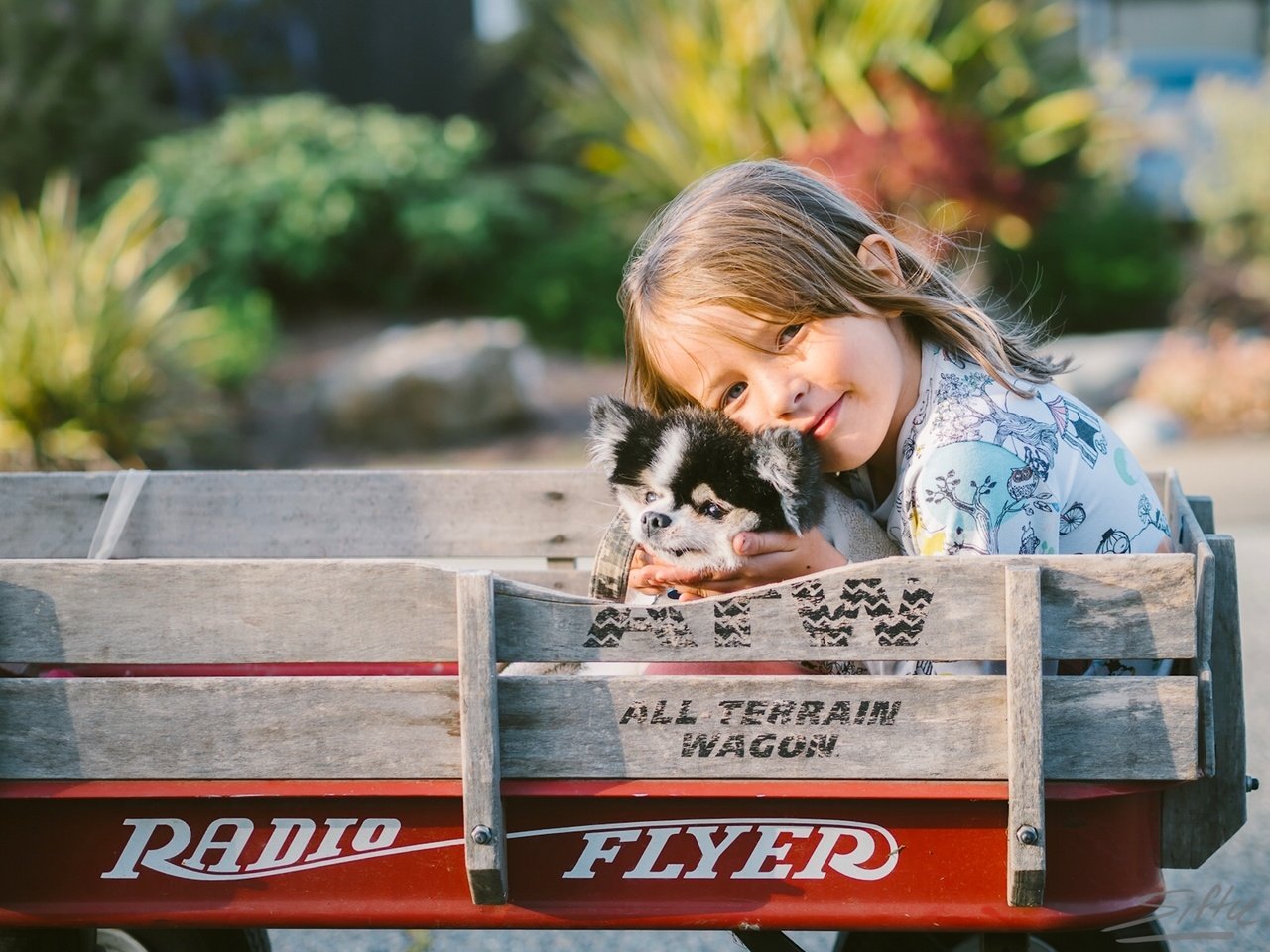 Обои собака, девочка, щенок, тележка, друзья, dog, girl, puppy, truck, friends разрешение 1920x1440 Загрузить