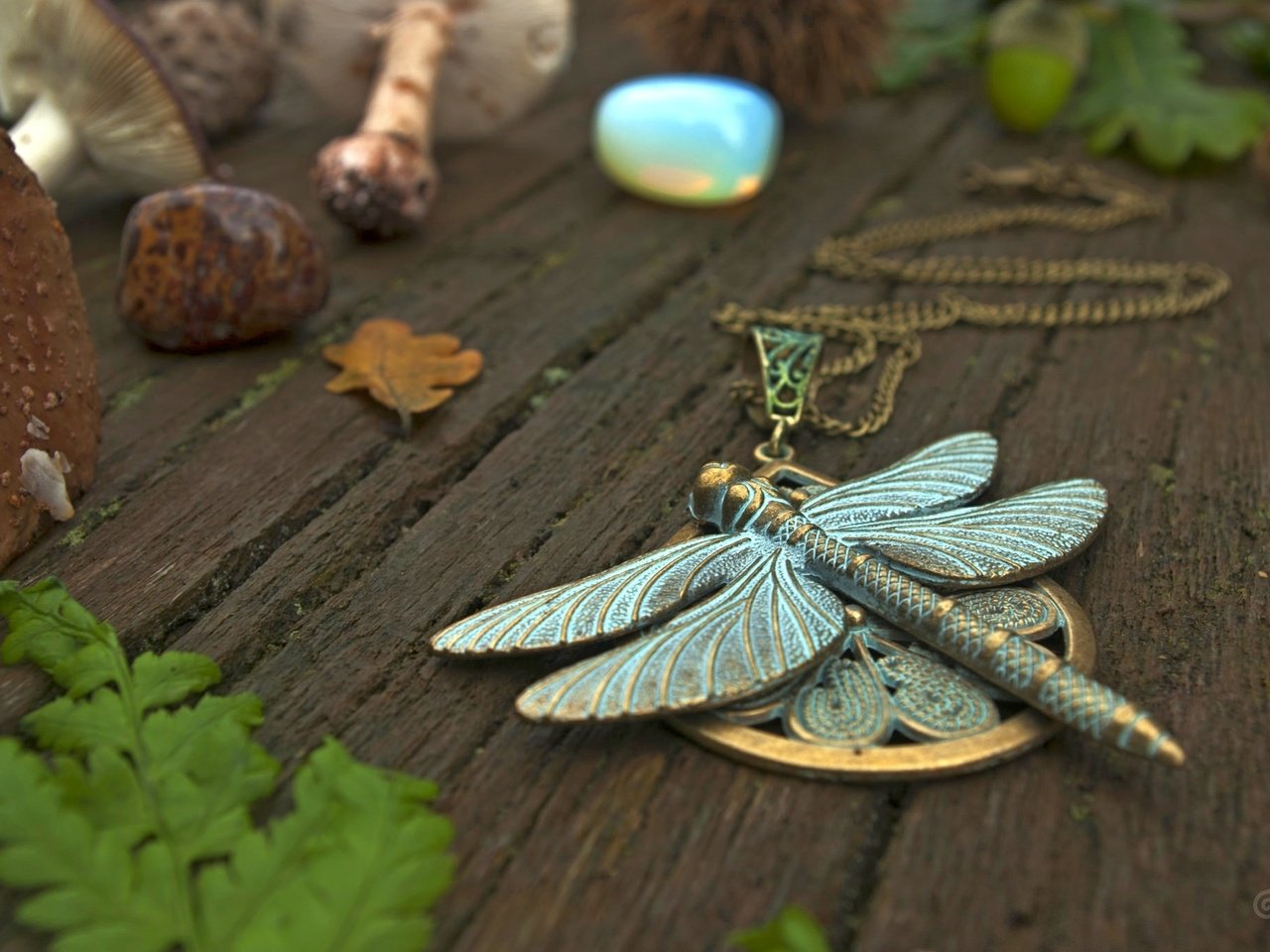 Обои стрекоза, кулон, украшение, dragonfly, pendant, decoration разрешение 2048x1371 Загрузить