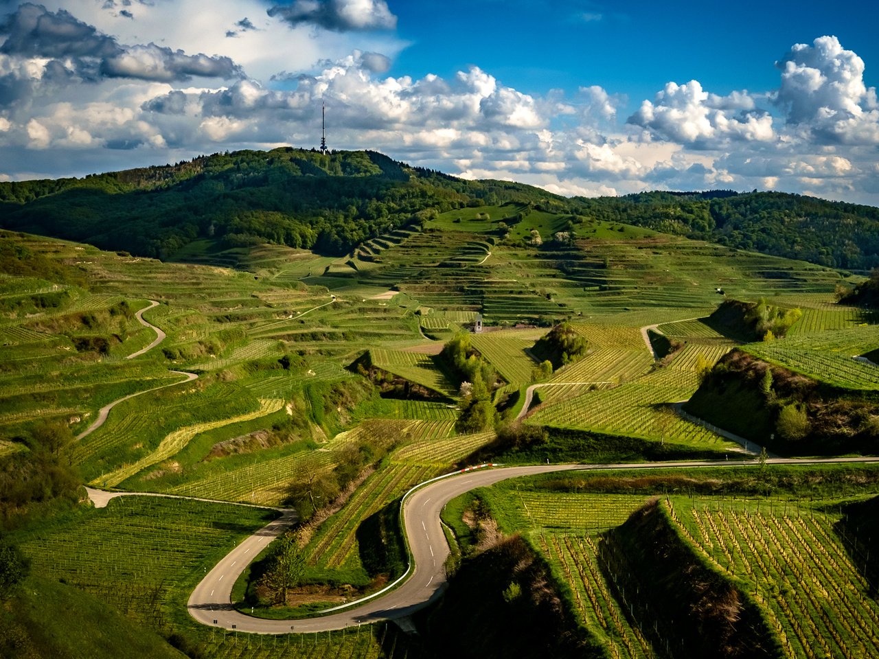 Обои дорога, облака, холмы, зелень, поля, плантации, германия, kaiserstuhl hills, road, clouds, hills, greens, field, plantation, germany разрешение 2048x1365 Загрузить