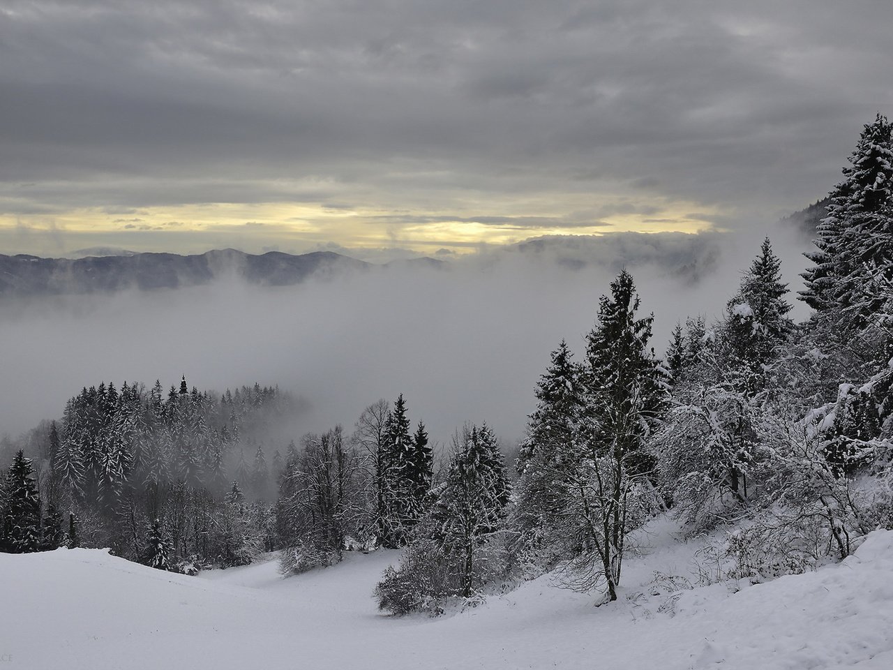 Обои деревья, горы, снег, зима, туман, trees, mountains, snow, winter, fog разрешение 1920x1280 Загрузить