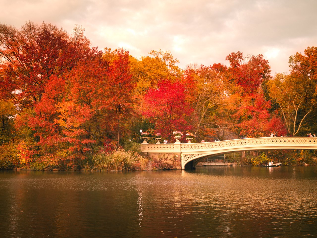 Обои деревья, центральный парк, листья, bow bridge, люди, осень, лодка, зеркало, нью-йорк, соединённые штаты, trees, central park, leaves, people, autumn, boat, mirror, new york, united states разрешение 2248x1499 Загрузить