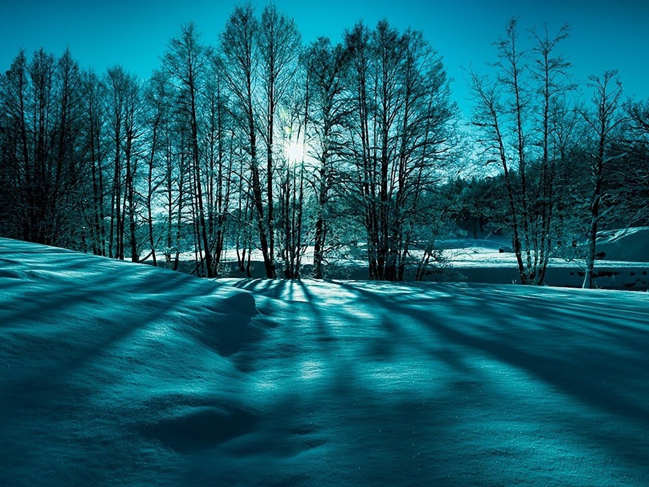 Обои небо, деревья, солнце, снег, природа, зима, лучи, пейзаж, the sky, trees, the sun, snow, nature, winter, rays, landscape разрешение 1920x1200 Загрузить