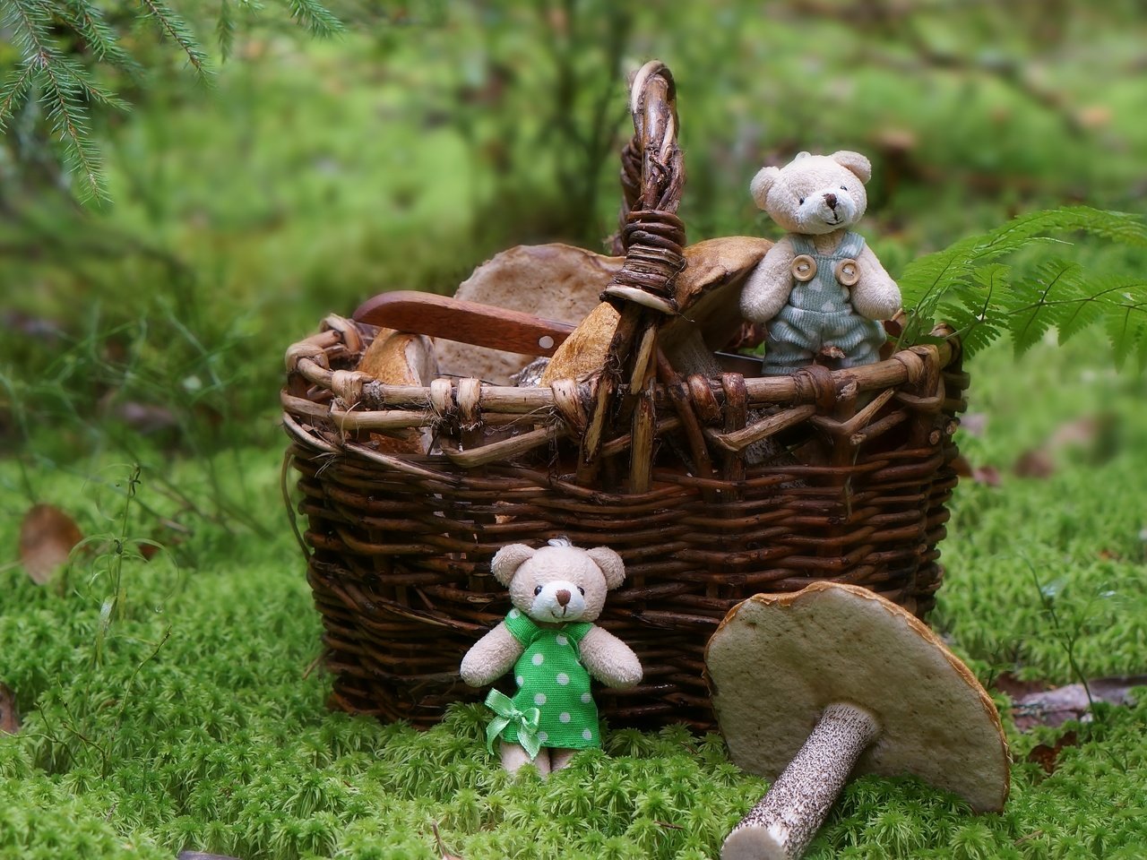 Обои лес, грибы, корзина, игрушки, медвежата, forest, mushrooms, basket, toys, bears разрешение 3000x1809 Загрузить