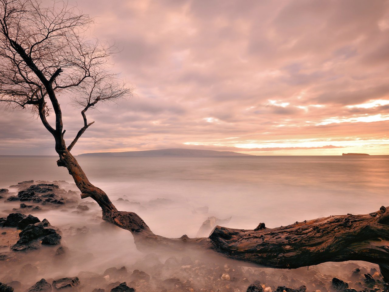 Обои вечер, дерево, закат, море, туман, горизонт, the evening, tree, sunset, sea, fog, horizon разрешение 2048x1152 Загрузить