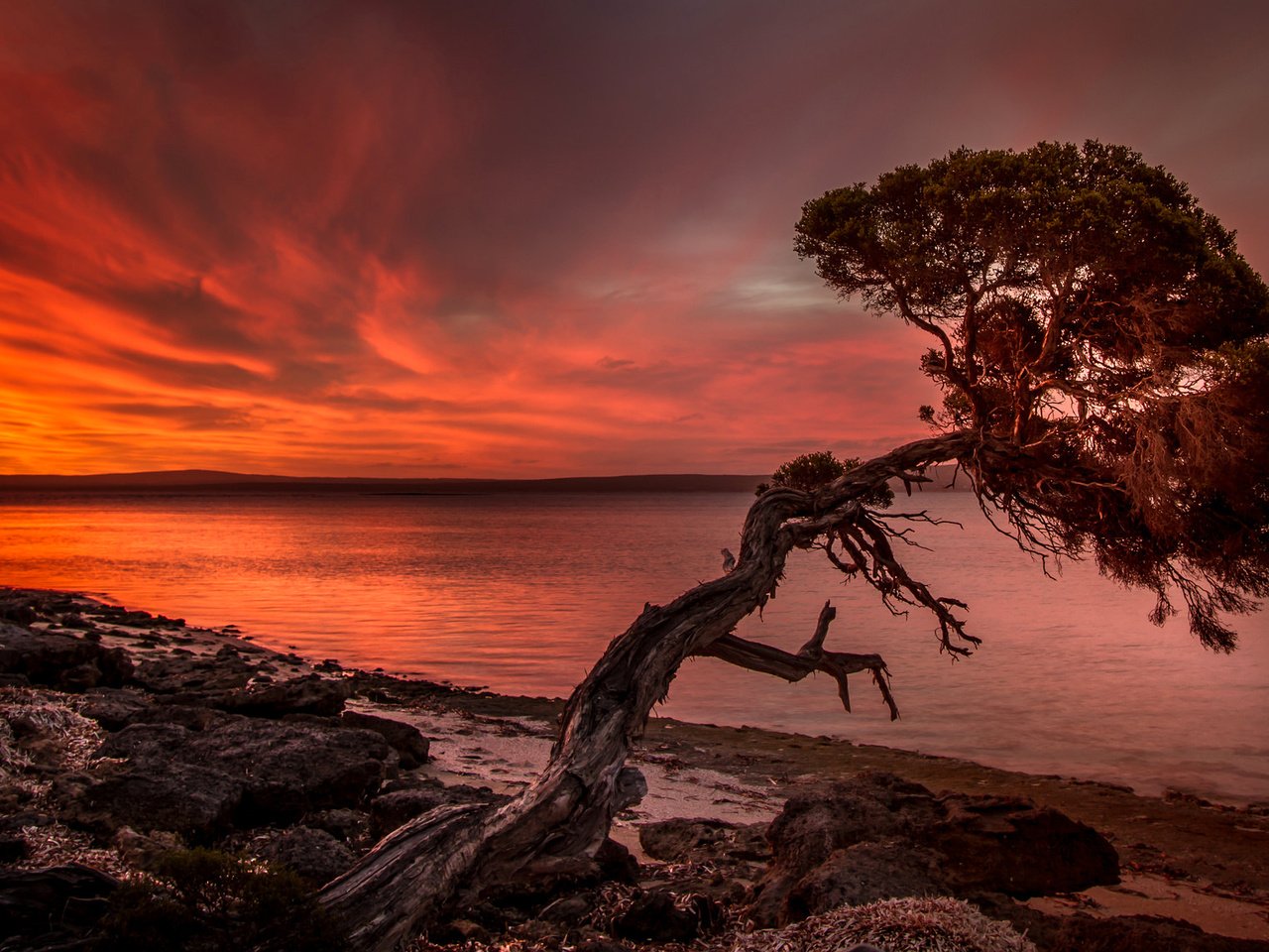 Обои озеро, дерево, берег, закат, зарево, lake, tree, shore, sunset, glow разрешение 2048x1137 Загрузить