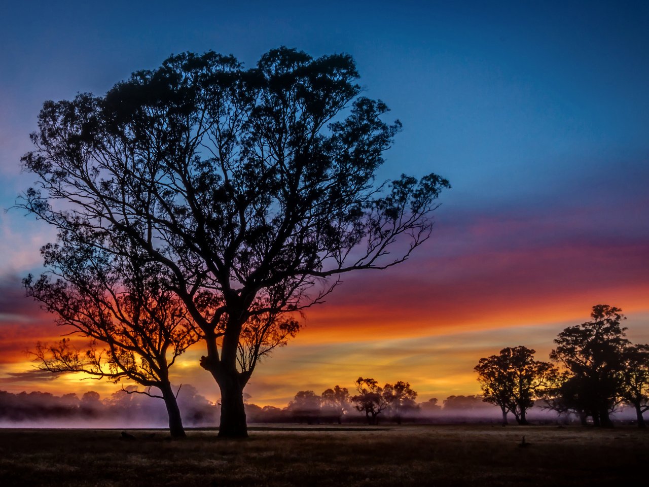 Обои облака, деревья, вечер, закат, пейзаж, clouds, trees, the evening, sunset, landscape разрешение 2048x1306 Загрузить