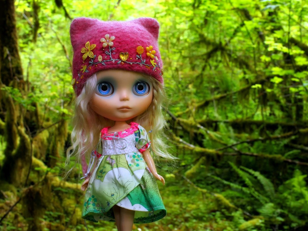 Обои лес, игрушка, кукла, волосы, шапка, шапочка, forest, toy, doll, hair, hat, cap разрешение 3500x2309 Загрузить