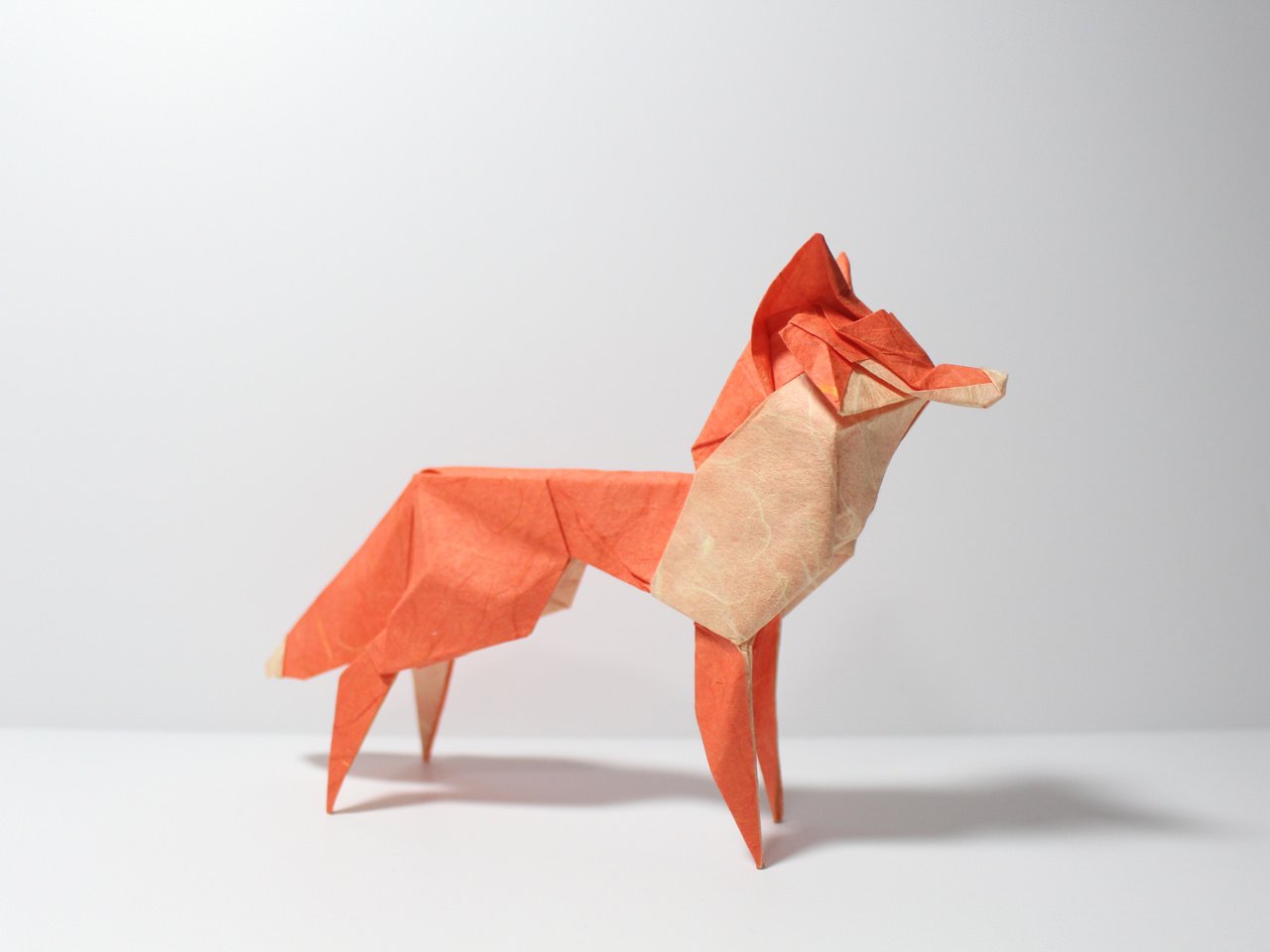 Обои бумага, лиса, оригами, paper, fox, origami разрешение 5184x3456 Загрузить