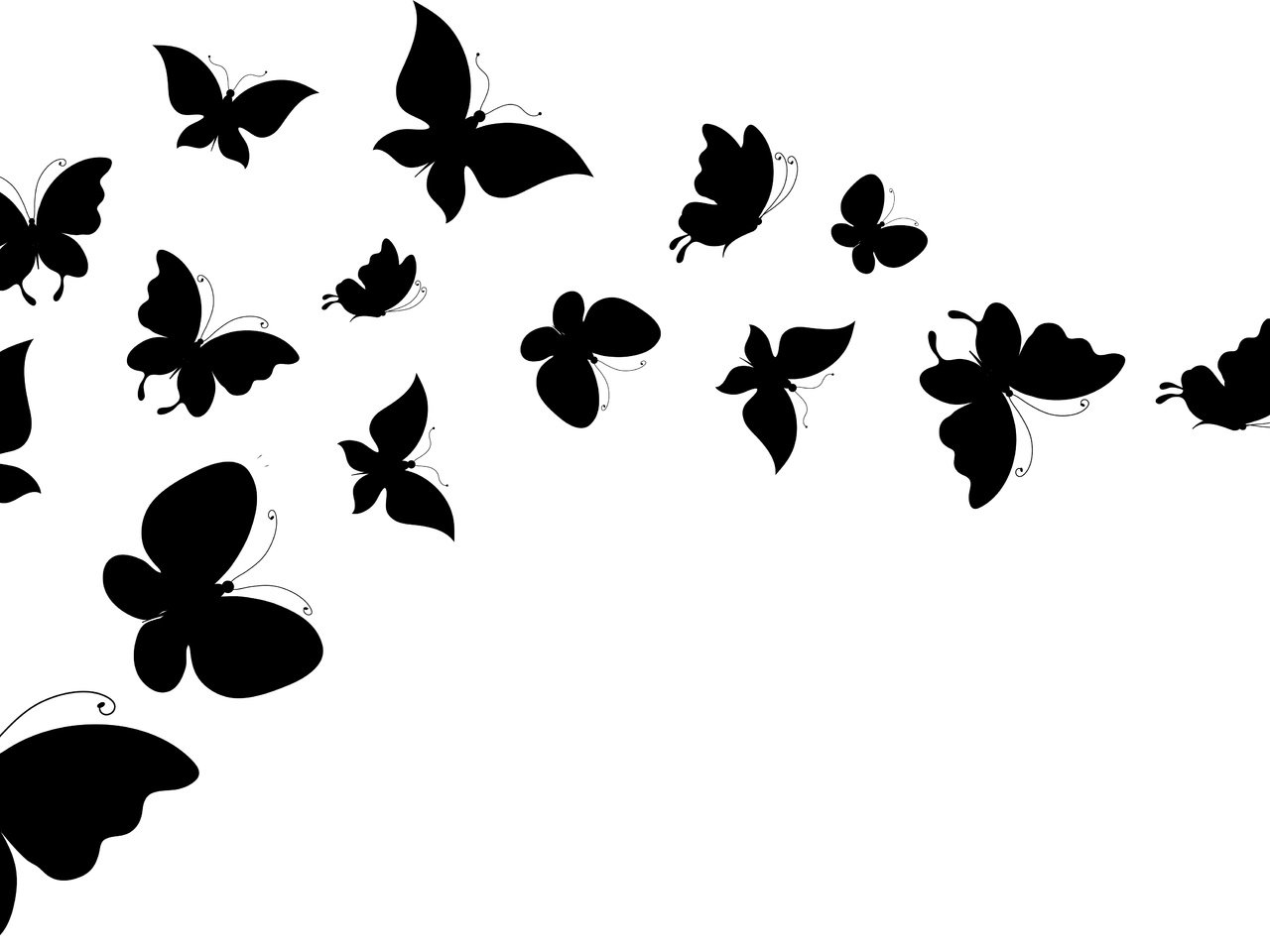 Обои фон, крылья, белый, силуэты, бабочки, background, wings, white, silhouettes, butterfly разрешение 5420x3097 Загрузить