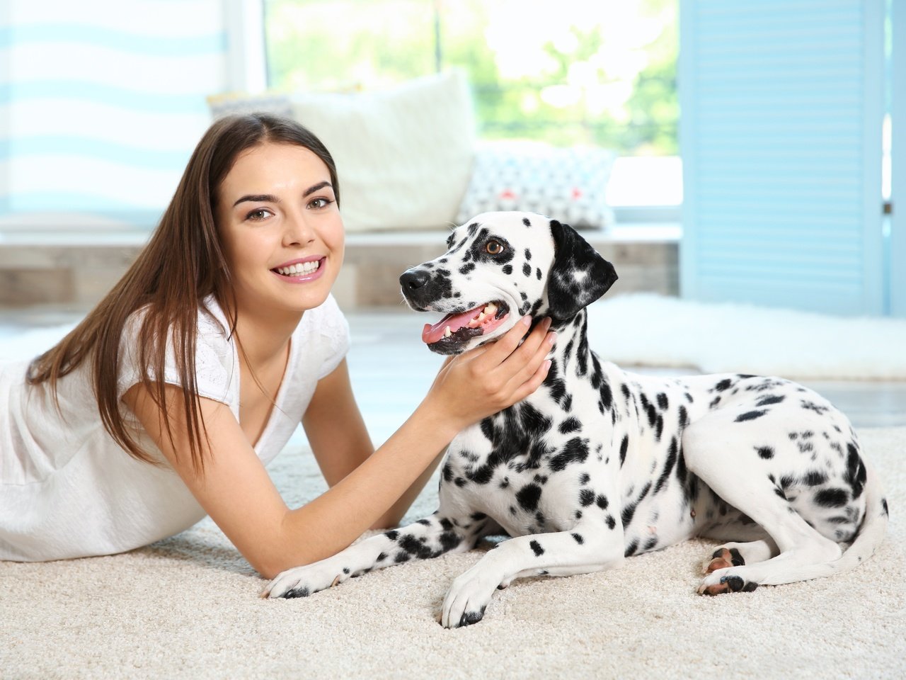 Обои девушка, улыбка, собака, далматин, cобака, dog-dalmatian-sobaka-dalmatin.jpg далматин, girl, smile, dog, dalmatian, dog-dalmatian-sobaka-dalmatin.jpg dalmatian разрешение 5648x3840 Загрузить