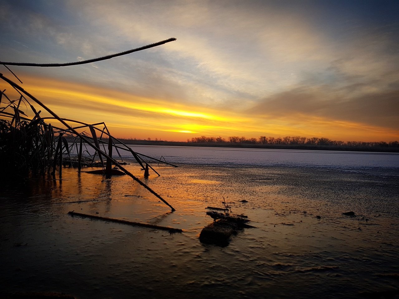 Обои вода, озеро, снег, растения, зима, лёд, холод, камыши, water, lake, snow, plants, winter, ice, cold, the reeds разрешение 4032x3024 Загрузить