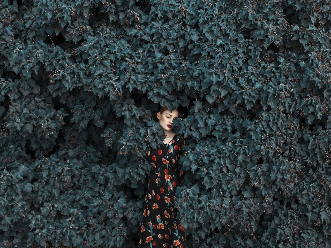 Обои девушка, платье, листва, лицо, girl, dress, foliage, face разрешение 2048x1365 Загрузить