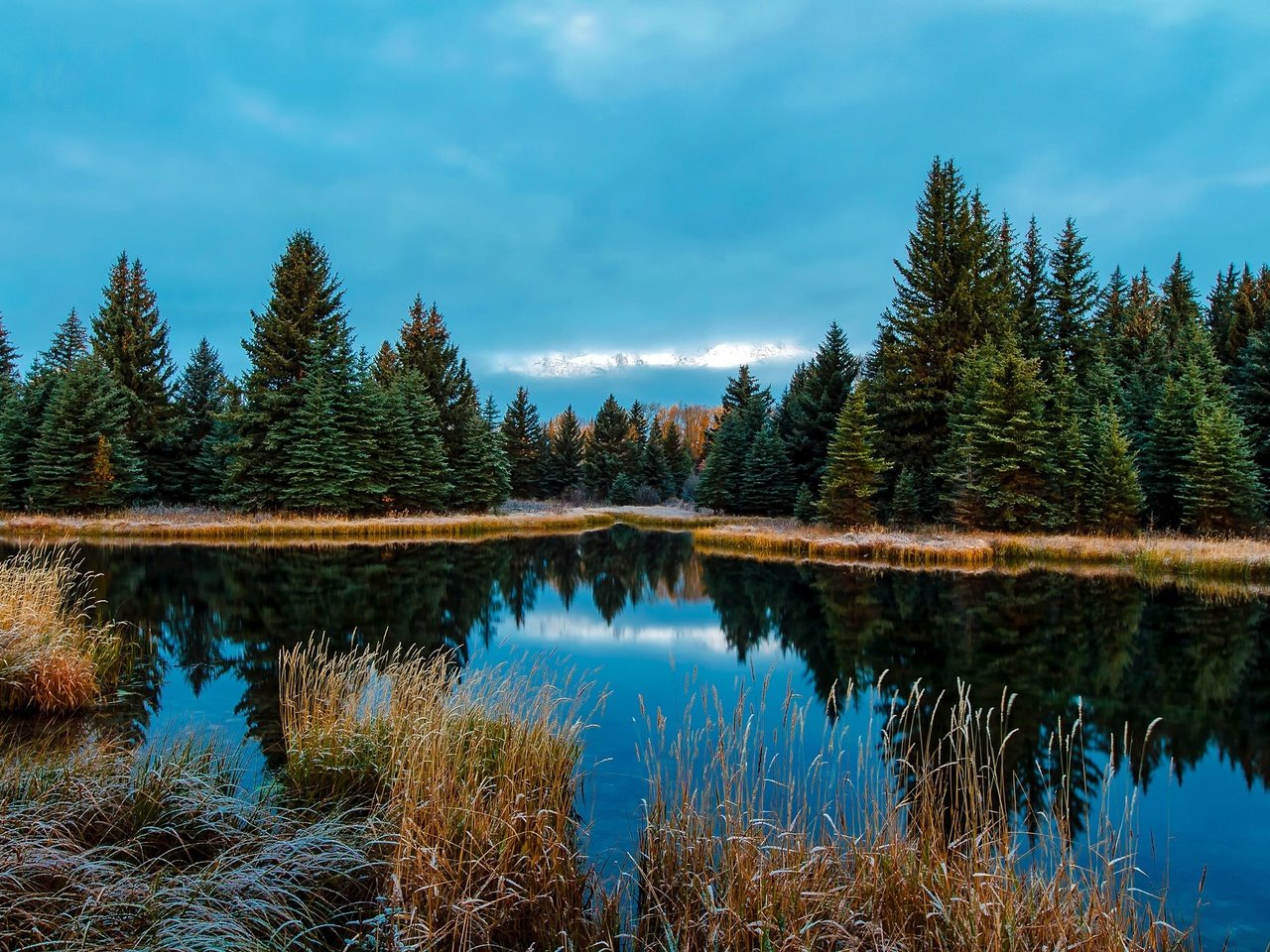 Обои трава, облачно, деревья, озеро, лес, иней, осень, сша, вайоминг, grass, cloudy, trees, lake, forest, frost, autumn, usa, wyoming разрешение 2200x1467 Загрузить