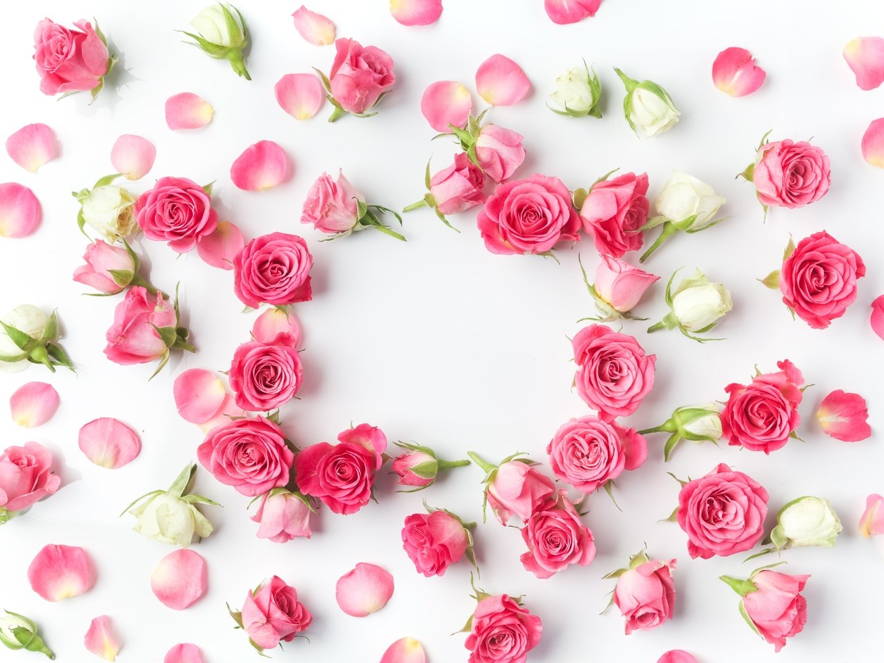 Обои цветы, бутоны, розы, лепестки, романтик,  цветы, роз, пинк, valentine`s day, flowers, buds, roses, petals, romantic, pink, valentine's day разрешение 5616x3744 Загрузить