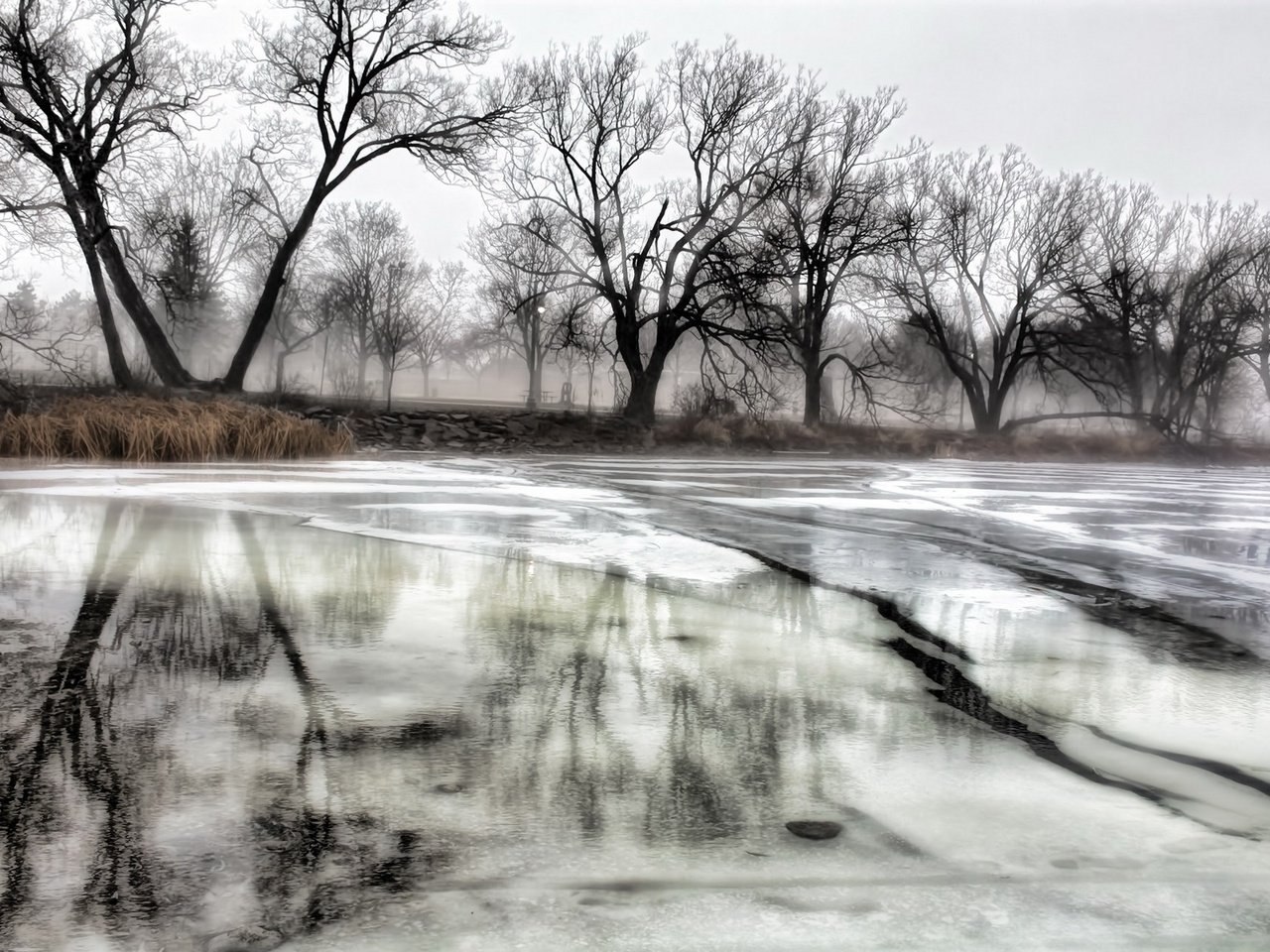 Обои деревья, река, зима, отражение, лёд, trees, river, winter, reflection, ice разрешение 1920x1280 Загрузить