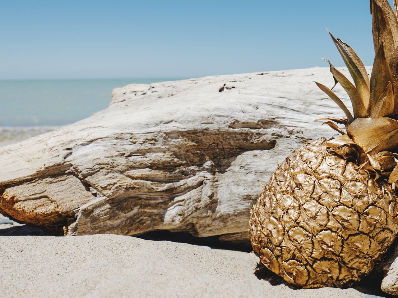 Обои пейзаж, пляж, ананас, landscape, beach, pineapple разрешение 3840x2160 Загрузить