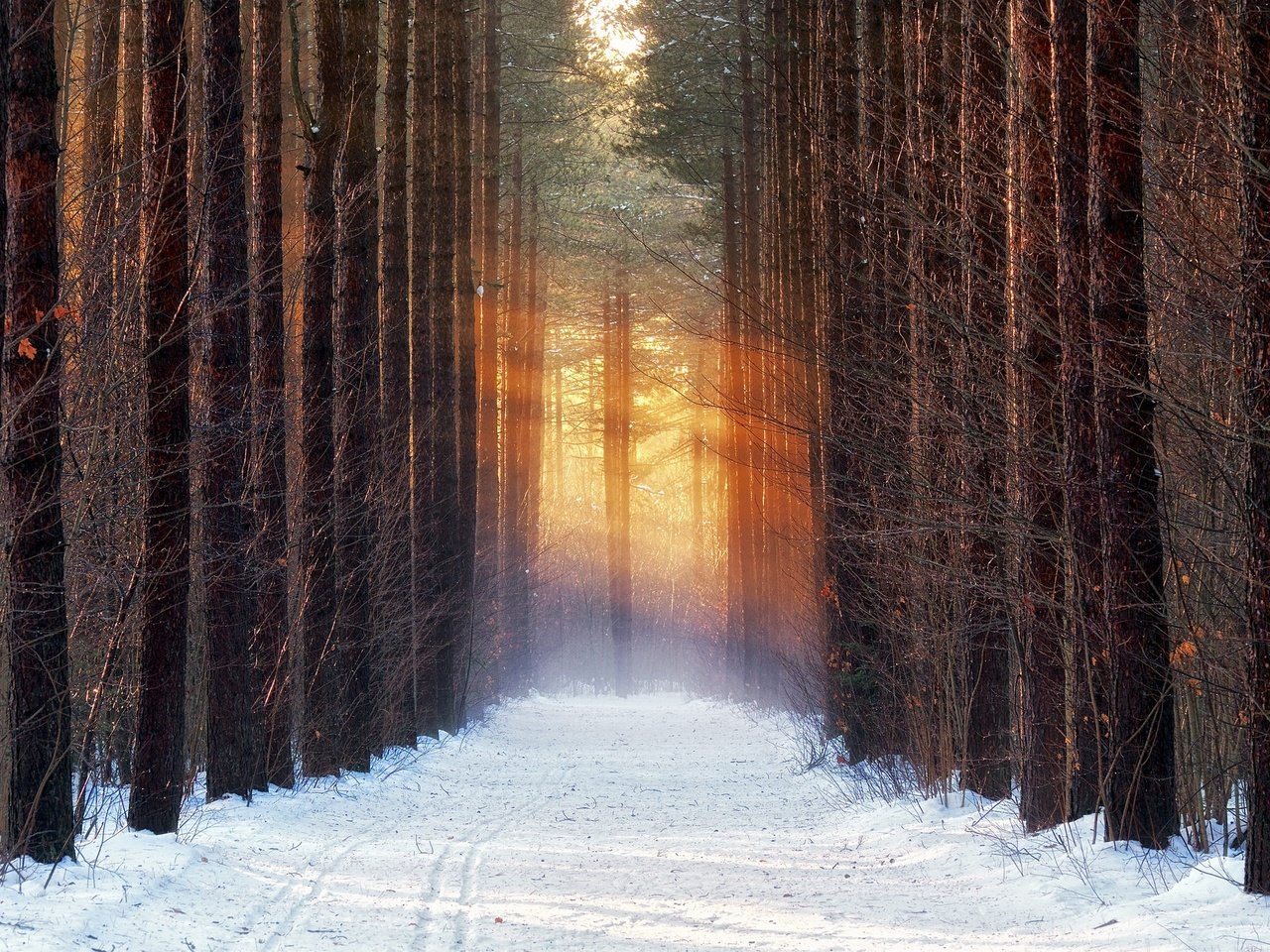 Обои дорога, деревья, снег, лес, зима, road, trees, snow, forest, winter разрешение 2048x1365 Загрузить