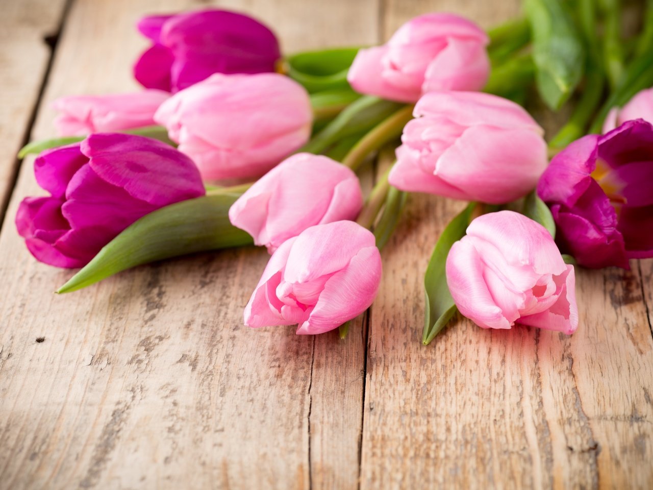Обои пинк, цветы, букет, тюльпаны, розовые, дерева, красива, тульпаны,  цветы, парное, flowers, bouquet, tulips, pink, wood, beautiful, fresh разрешение 5328x3552 Загрузить