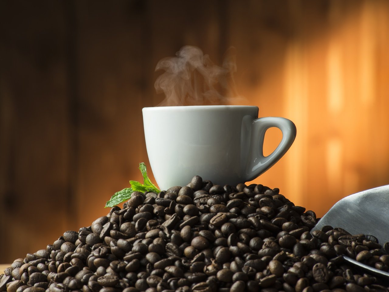 Обои мята, зерна, кофе, чашка, кофейные зерна, mint, grain, coffee, cup, coffee beans разрешение 6672x4912 Загрузить