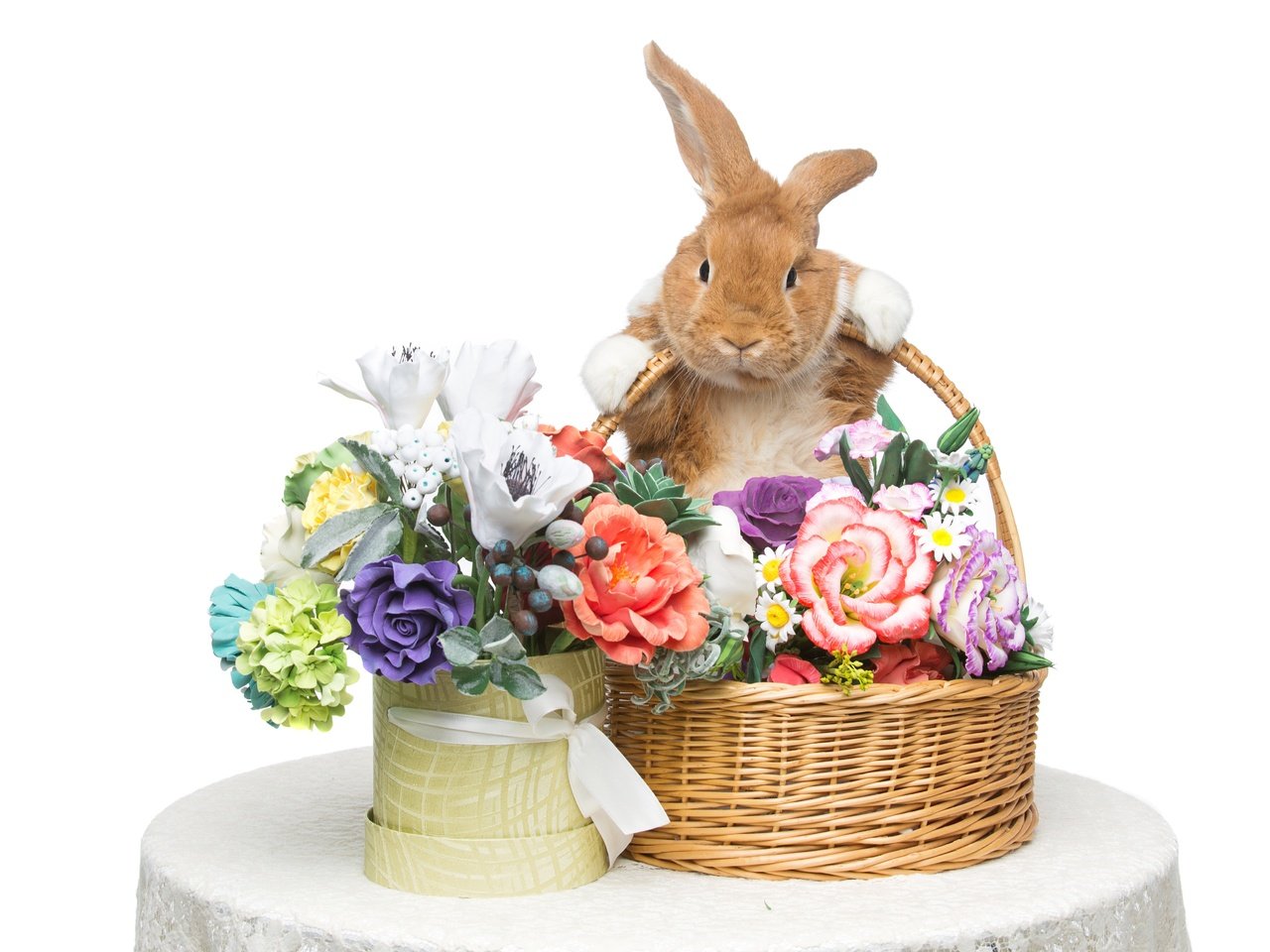 Обои цветы, корзина, кролик, пасха, flowers, basket, rabbit, easter разрешение 5544x3696 Загрузить