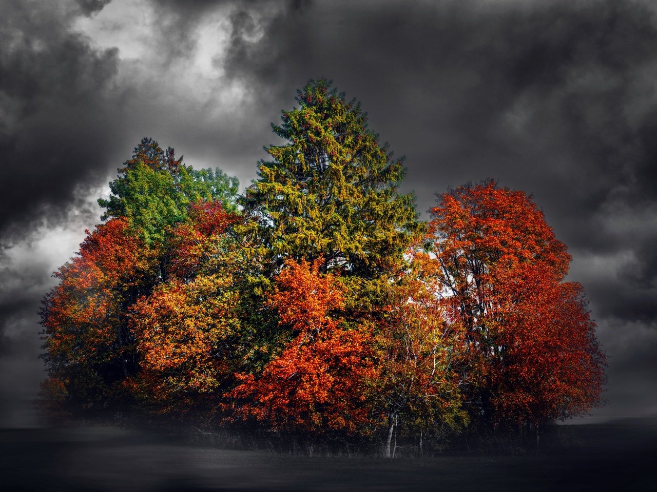 Обои деревья, тучи, фон, поле, разноцветные, осень, чёрно-белый, trees, clouds, background, field, colorful, autumn, black and white разрешение 3000x2000 Загрузить