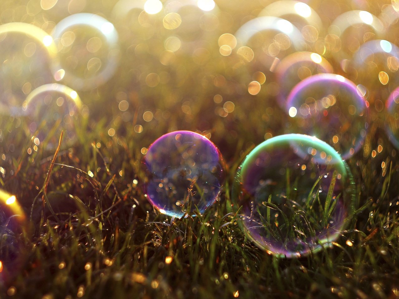 Обои трава, цветные, пузырьки, мыльные пузыри, боке, мыльный пузырь, grass, colored, bubbles, bokeh, bubble разрешение 2500x1667 Загрузить