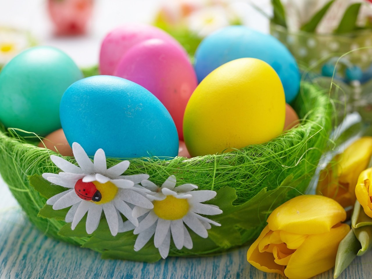 Обои цветы, пасха, яйца, корзинка, flowers, easter, eggs, basket разрешение 2560x1600 Загрузить