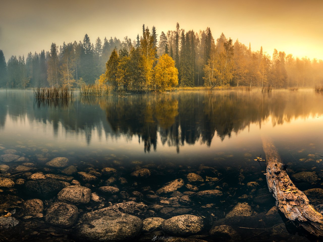 Обои деревья, озеро, лес, отражение, туман, осень, пруд, trees, lake, forest, reflection, fog, autumn, pond разрешение 2048x1083 Загрузить