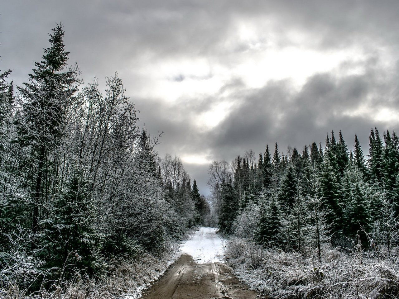 Обои дорога, лес, тучи, зима, ели, road, forest, clouds, winter, ate разрешение 1920x1280 Загрузить