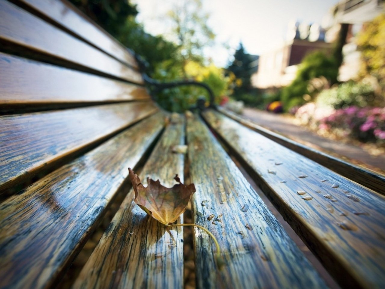 Обои макро, парк, капли, осень, лист, скамейка, macro, park, drops, autumn, sheet, bench разрешение 1930x1206 Загрузить