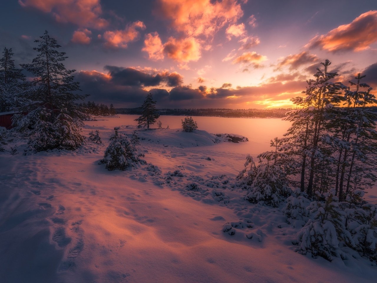 Обои небо, облака, деревья, снег, лес, закат, зима, сумерки, the sky, clouds, trees, snow, forest, sunset, winter, twilight разрешение 2048x1367 Загрузить